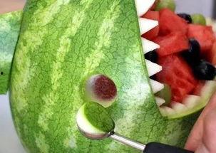 鲨鱼吃瓜的视频大全,海洋奇观视频大全