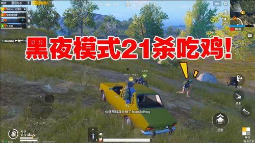 瓜婆娘的视频吃鸡,趣味横生游戏瞬间走红