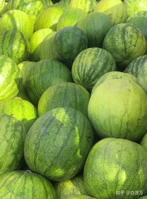 用手砸开籽瓜可以吃吗视频,美味尽享——轻松解锁籽瓜食用新方法