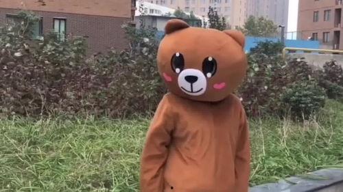 网红熊吃瓜视频原版免费观看,免费原版内容，带你领略趣味瞬间