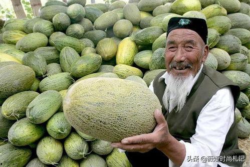 河北人吃哈密瓜好吗视频,美味体验分享