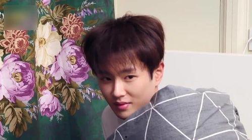 宋亚轩现场吃瓜视频大全,趣味十足！