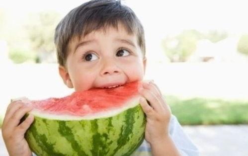 吃瓜比赛视频模板幼儿园,萌娃们趣味横生的“瓜界”争霸