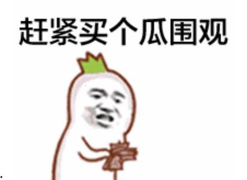 吃瓜群众短发视频大全,吃瓜群众短视频大全