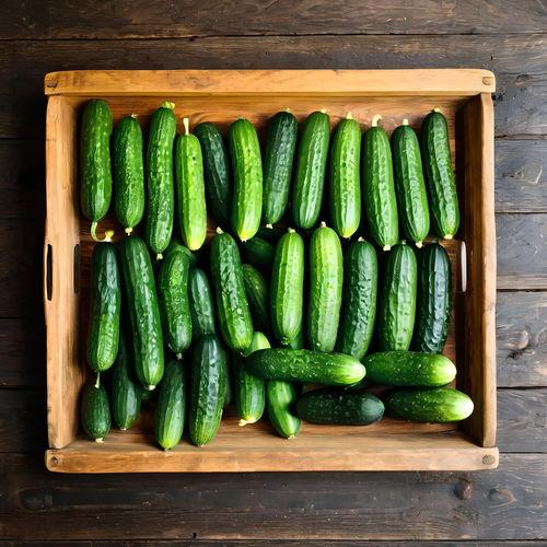 爆火吃瓜视频素材下载安装,揭秘热门素材下载与安装攻略