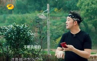 吃瓜吐槽事件真相视频,真相视频背后的惊人内幕