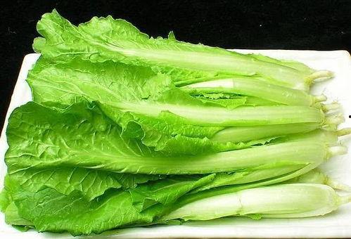 美食吃瓜小白菜视频大全,视频大全带你领略美味瞬间