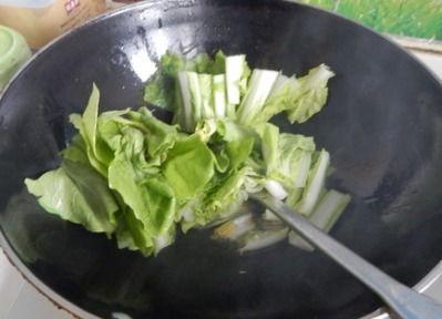 美食吃瓜小白菜视频大全,视频大全带你领略美味瞬间