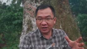 大漠叔叔吃瓜视频,揭秘娱乐圈幕后故事