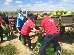 吃瓜群众的方法视频,轻松上手成为短视频达人