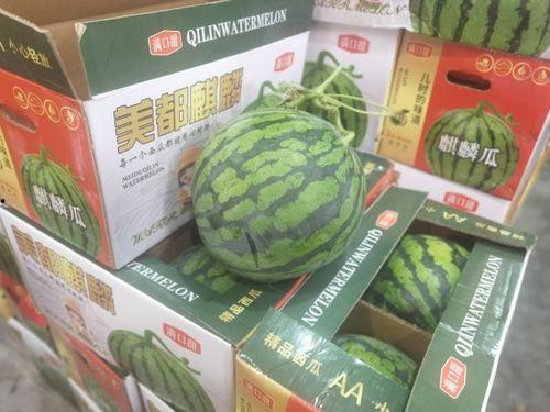 哪些人可以吃毛瓜呢视频,哪些人最适合享用