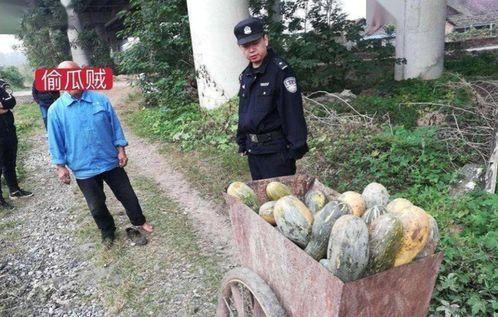 红星村吃瓜事件视频全集,揭秘视频全集背后的真相与争议