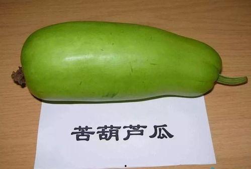 老的葫芦瓜可以吃吗视频,揭秘传统食材的新用途