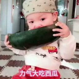 璐宝吃瓜视频在线播放,带你领略网络热点的魅力瞬间