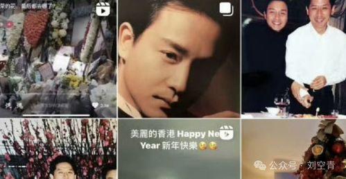 庄家凯吃瓜视频大全集在线观看,揭秘娱乐圈幕后风云