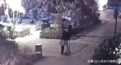 滕州吃瓜事件视频,一场引发热议的网络风波