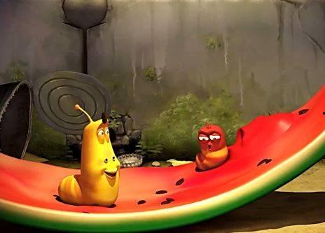 昆虫吃瓜的视频,昆虫与瓜果的奇妙互动