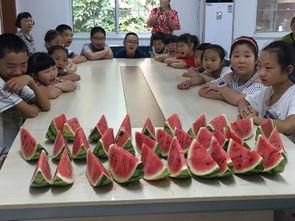 社会实践吃瓜视频,社交短视频中的社会观察与反思