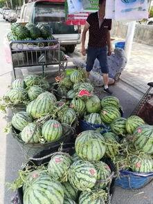 南昌地产吃瓜事件视频最新,揭秘背后惊人真相